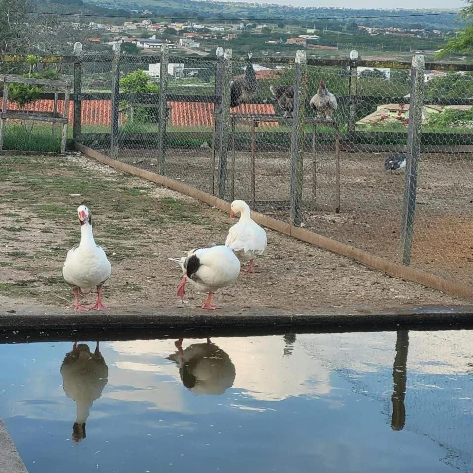 Flat 11 Fazenda Gravata-pe Gravata (Gravata, Pernambuco)